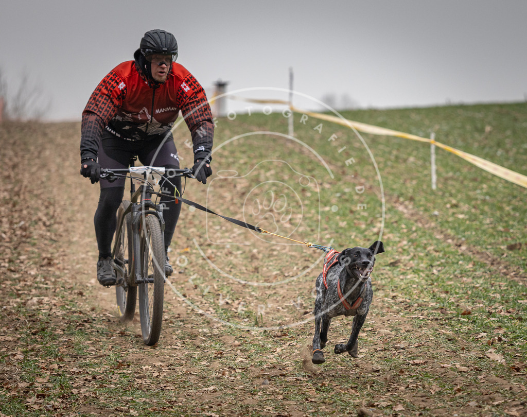 Pfotenfotografie_DV3A2365 | Hundefotografie, Tierfotograf, Pfotenfotografie, Fotoshooting Hund, Hunde Portrait, Hundesport, Hundeportraits, Heideshooting, Hunde, Sportfotograf, Hundefotograf, Turnierhundsport, THS,  - Realisiert mit Pictrs.com