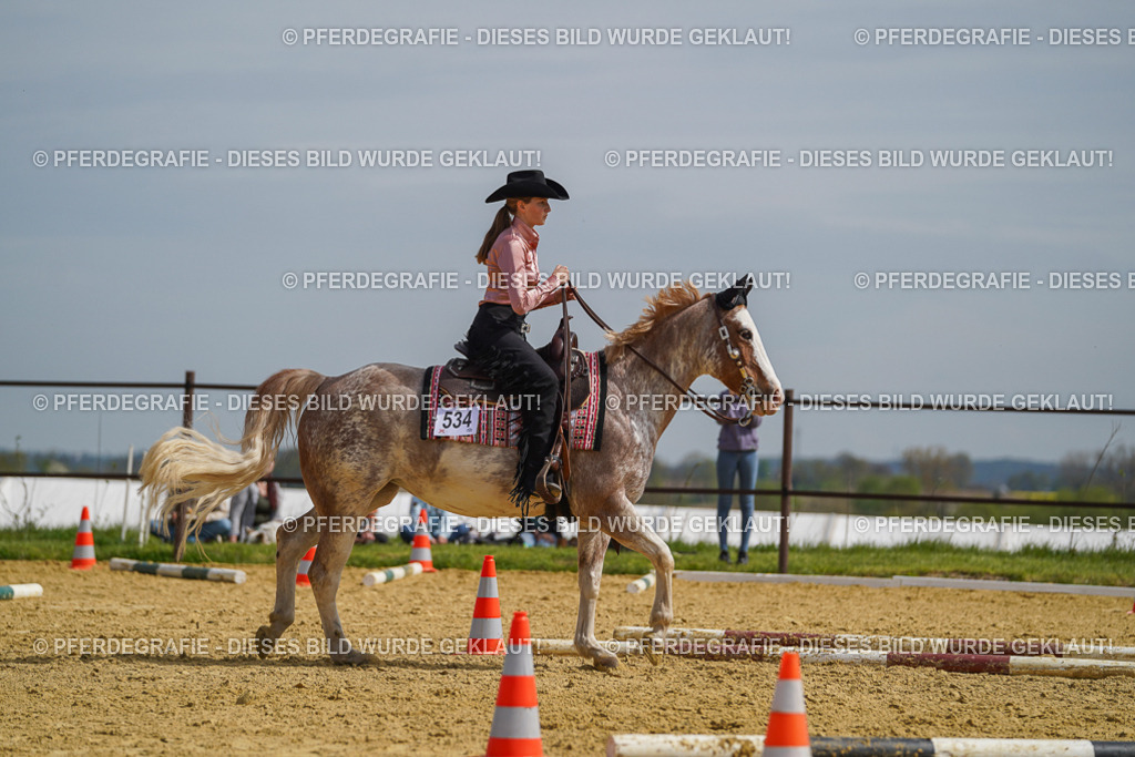 DSC04117 | Pferdegrafie