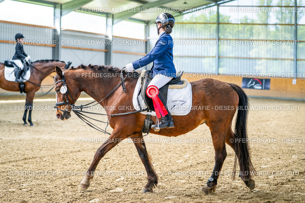 DSC02793 | Pferdegrafie