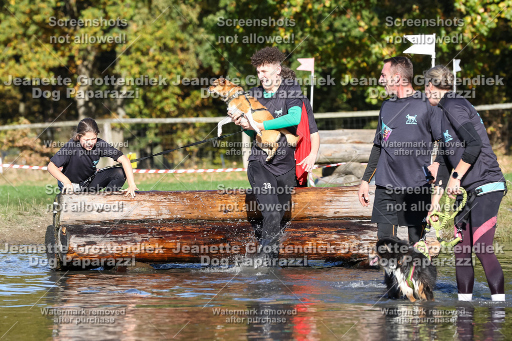 Dog Paparazzi - Strongdog 10-25-8952 | Dog Paparazzi Jeanette Grottendiek Fotografie & Videografie - Realisiert mit Pictrs.com