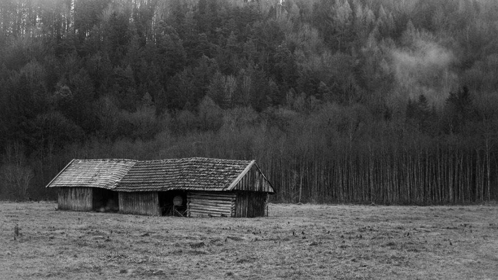 DSC_5206 | kaefersammler_roy - Realisiert mit Pictrs.com