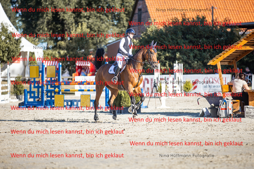 BK1A7692 | Turnierbilder Turnierfotos Nina Hüffmann Turnierfotografie Pferdefotografie Tierzeichnung Haustierzeichnung Pferdezeichnung Hundezeichnung Videograf  - Realisiert mit Pictrs.com