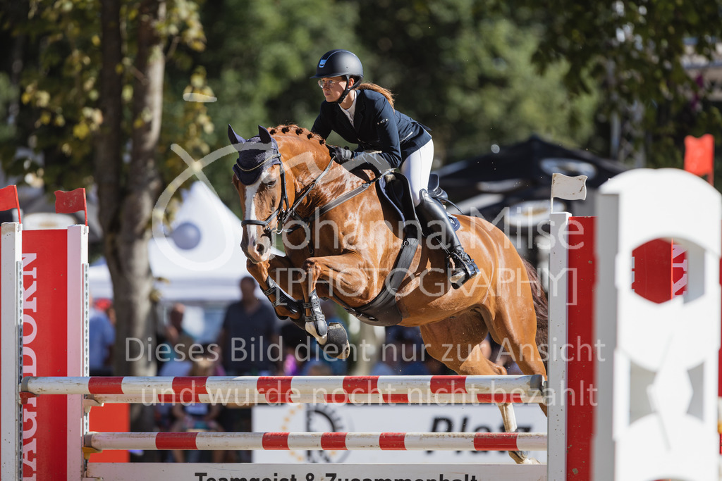 220828_Delbrueck_A2-Spr-211 | Deine schönsten Turniermomente als professionelle Fotos! Entdecke hochwertige Pferdesport-Fotografie im Online-Shop. Jetzt Fotos finden & bestellen!