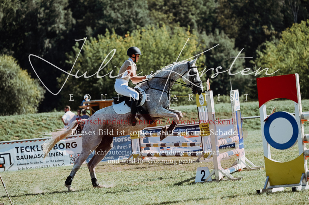 DSC_6866 | Pferde- und Turnierfotografie in Westsachsen. Pferdeportraits, Auftragszeichnungen und intuitive Kunst.