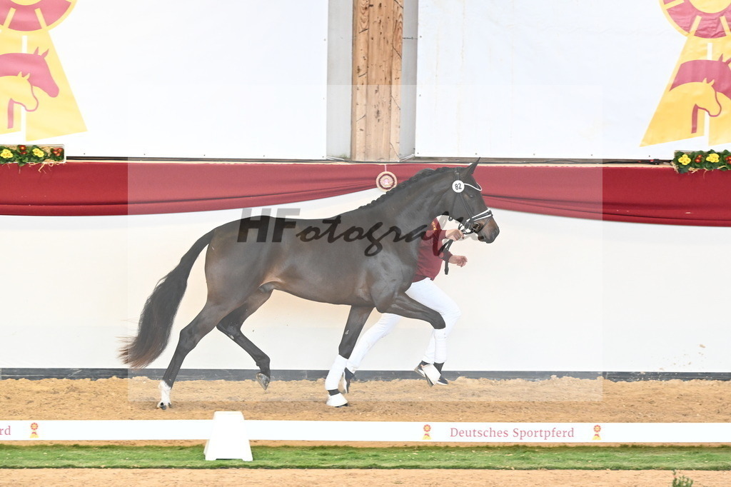 Kat.-Nr. 82 v. Von Und Zu_Berger_2241093 | hf-fotografie - Realizzato con Pictrs.com