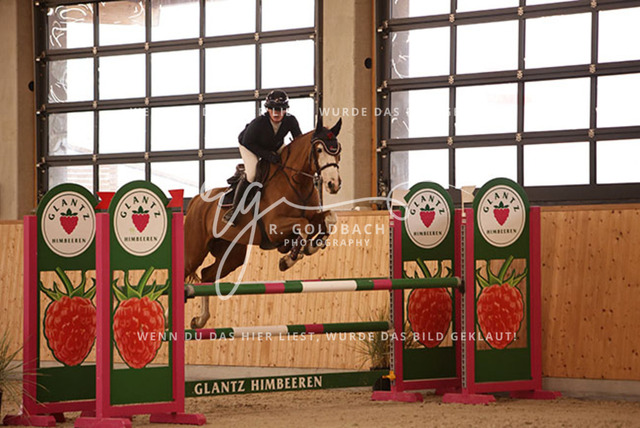 1J2A4447Lilli Plath_ Butler of Picobello Z_ Kn039_ Hohen Wieschendorf_ Glantz | Foto- und Videografie für alles rund ums Pferd. Hochwertige Bilder und Videos vom Spring- und Dressurreiten, Voltigieren & mehr. Jetzt aktuelle Veranstaltungen und Preise im Shop ansehen. - Realisiert mit Pictrs.com