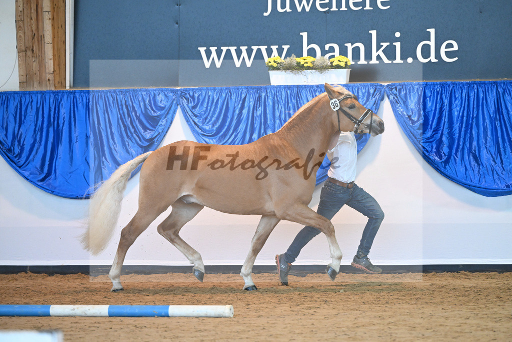 Kat-Nr. 36 nn v. Ansgar_Port_60220909 | hf-fotografie - Realisiert mit Pictrs.com