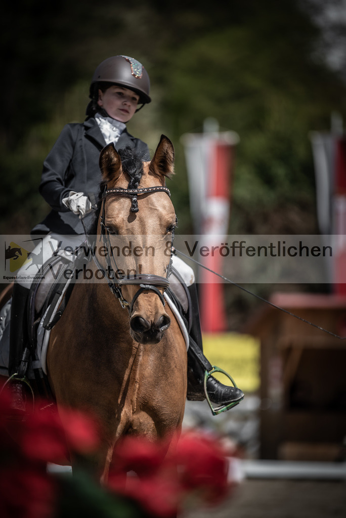 DSC_0906 | equestrian-live-com