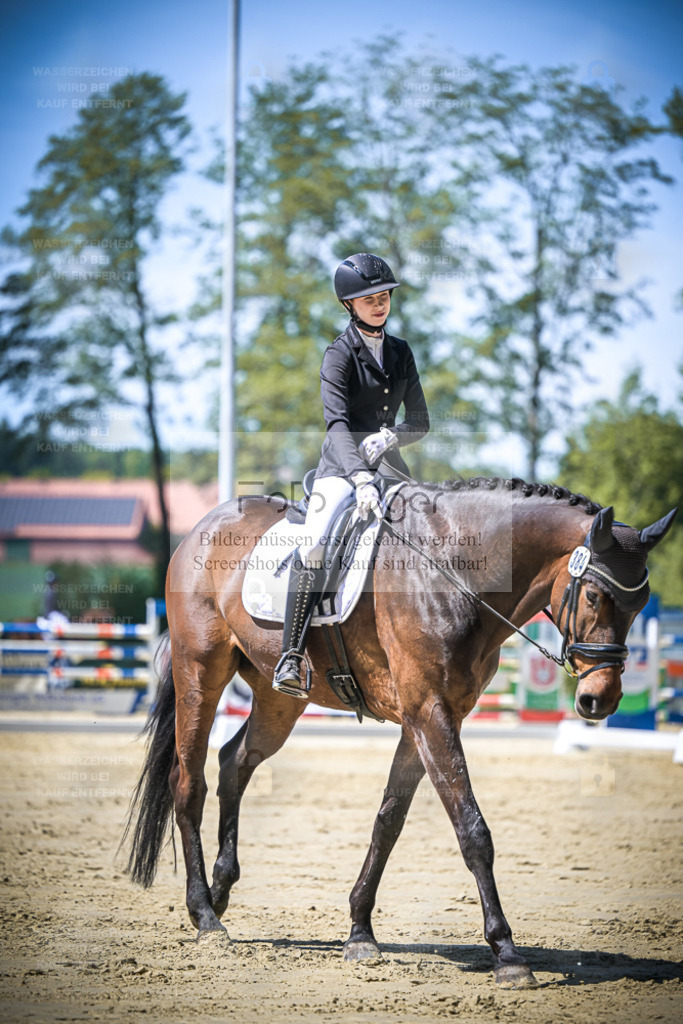 DOS_8340 | Entdecke hochwertige Reitturnierfotos von Foto Oger. Professionell, emotional und authentisch – jetzt Lieblingsmomente im Shop bestellen. - Realisiert mit Pictrs.com