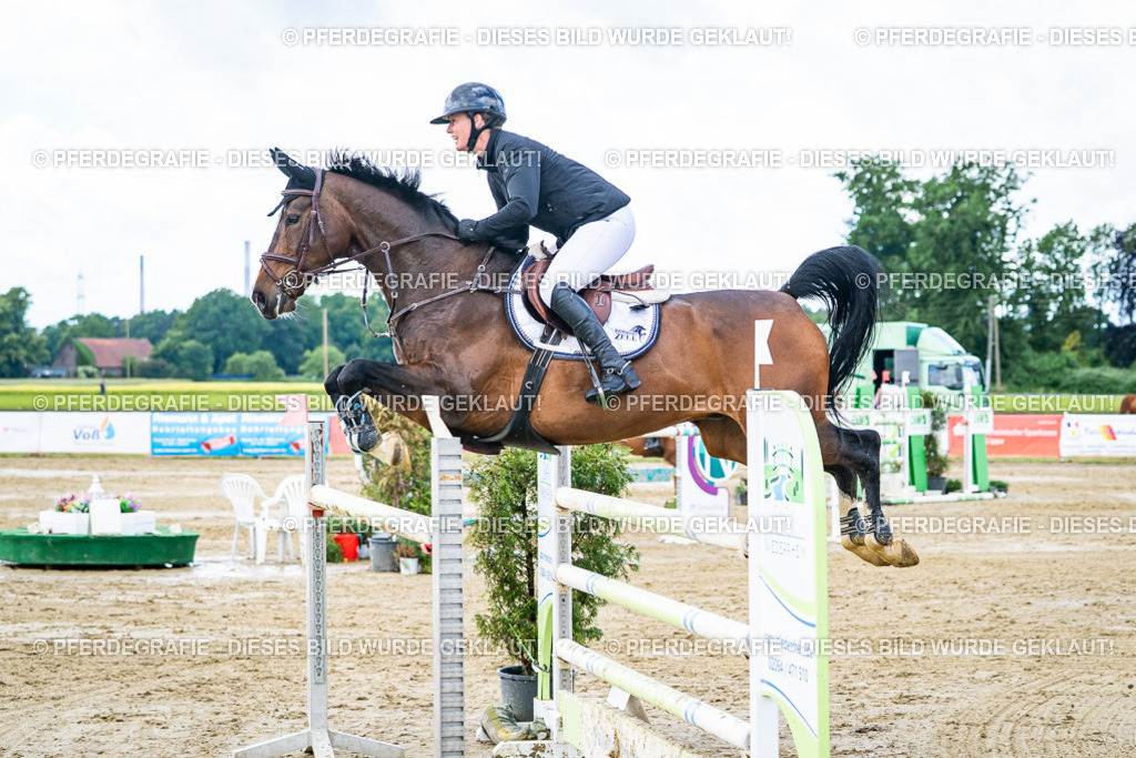 DSC04895 | Pferdegrafie