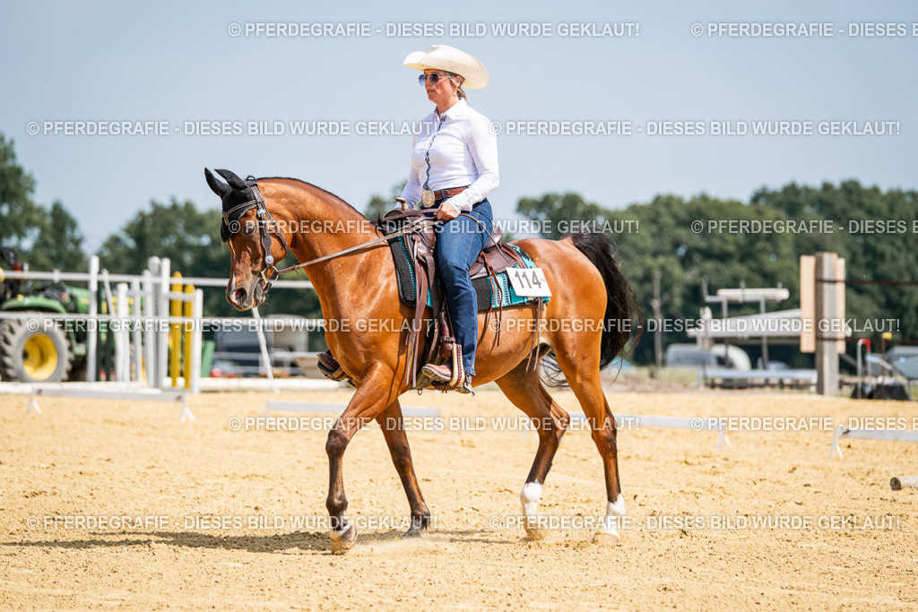 DSC00444 | Pferdegrafie