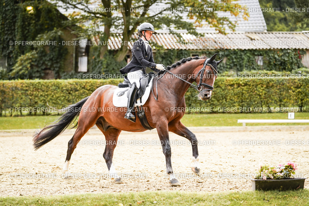 DSC03048 | Pferdegrafie