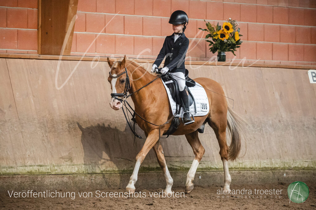_MG_0893 | farbklaex.com