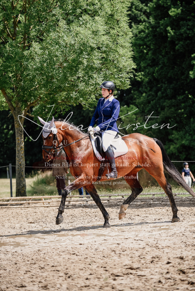 DSC_1243 | Pferde- und Turnierfotografie in Westsachsen. Pferdeportraits, Auftragszeichnungen und intuitive Kunst.