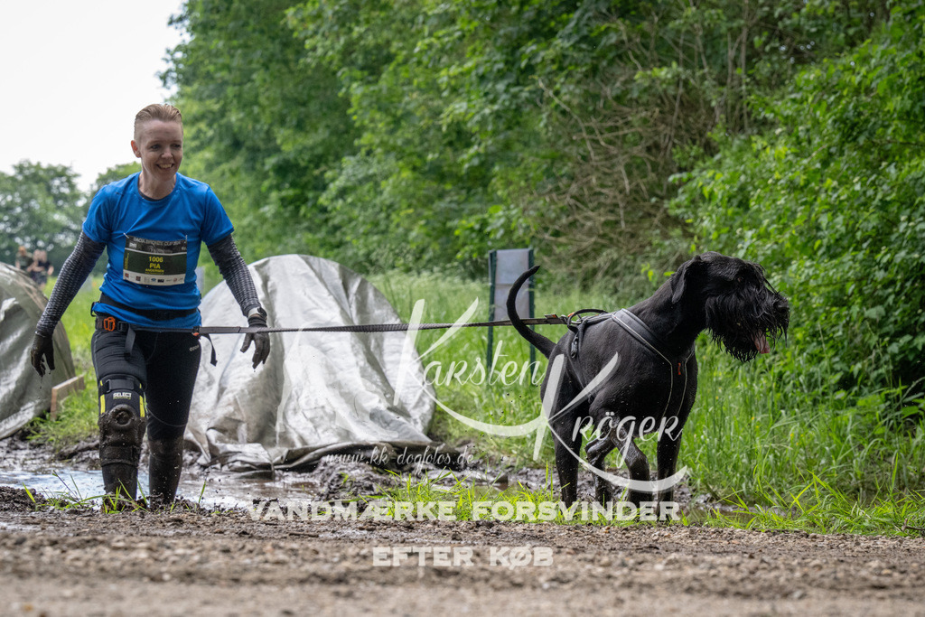 1113_ZZ91873 | kk-dogfotos