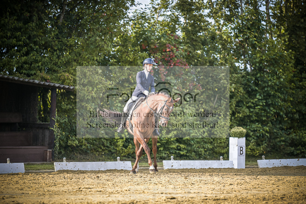 DOS_1266 | Entdecke hochwertige Reitturnierfotos von Foto Oger. Professionell, emotional und authentisch – jetzt Lieblingsmomente im Shop bestellen.Deutschlandweite Turnierfotografie. - Realisiert mit Pictrs.com