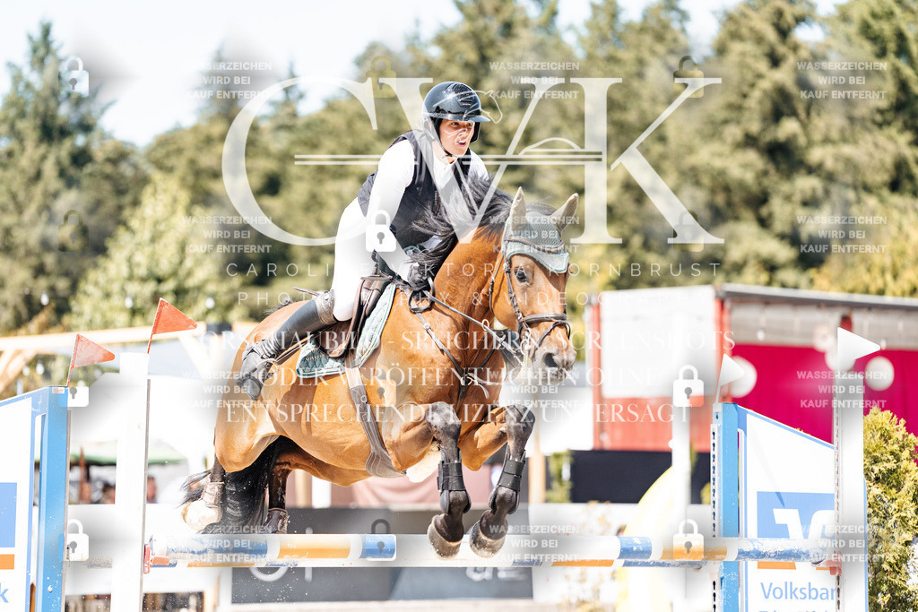CK901094 | Turnierfotografie Pferdefotografie Trier Rheinland-Pfalz Pferdesport Reitsport Tierfotografie Sportfotografie Pferdevideo Pferdevideografie Equestrianvideography equestrianphotography  - Realisiert mit Pictrs.com