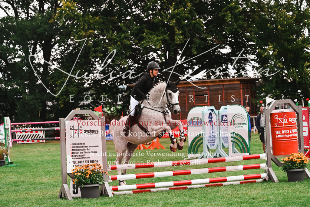DSC_6070 | Pferde- und Turnierfotografie in Westsachsen. Pferdeportraits, Auftragszeichnungen und intuitive Kunst.