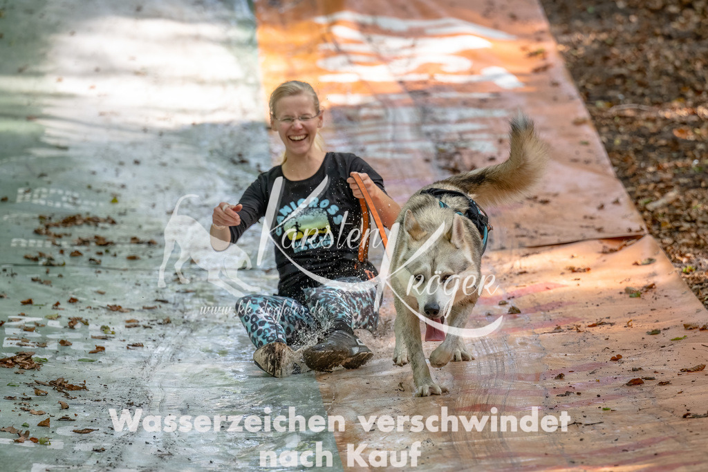 1217_ZZ93797-Bearbeitet | kk-dogfotos