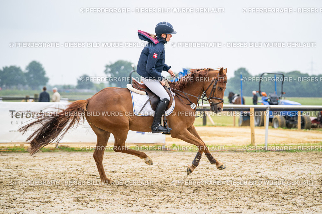 DSC00952 | Pferdegrafie