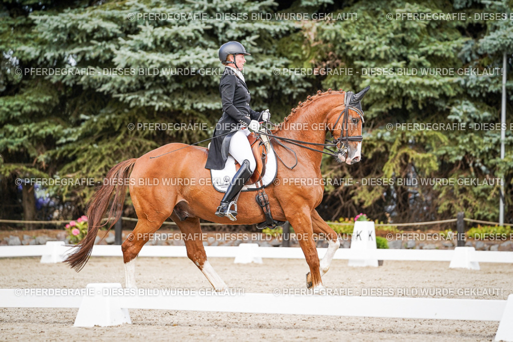 DSC06492 | Pferdegrafie