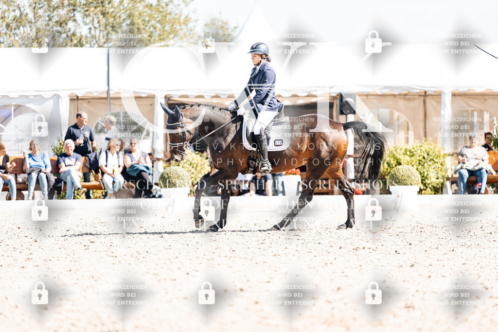 CK903337 | Turnierfotografie Pferdefotografie Trier Rheinland-Pfalz Pferdesport Reitsport Tierfotografie Sportfotografie Pferdevideo Pferdevideografie Equestrianvideography equestrianphotography  - Realisiert mit Pictrs.com