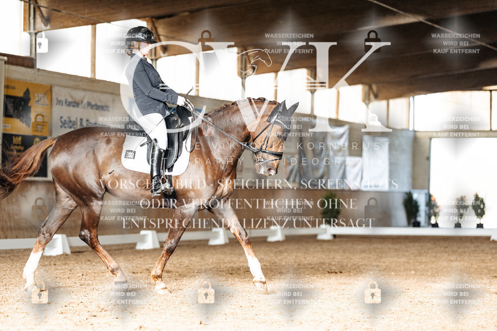 CK902695 | Turnierfotografie Pferdefotografie Trier Rheinland-Pfalz Pferdesport Reitsport Tierfotografie Sportfotografie Pferdevideo Pferdevideografie Equestrianvideography equestrianphotography  - Realisiert mit Pictrs.com