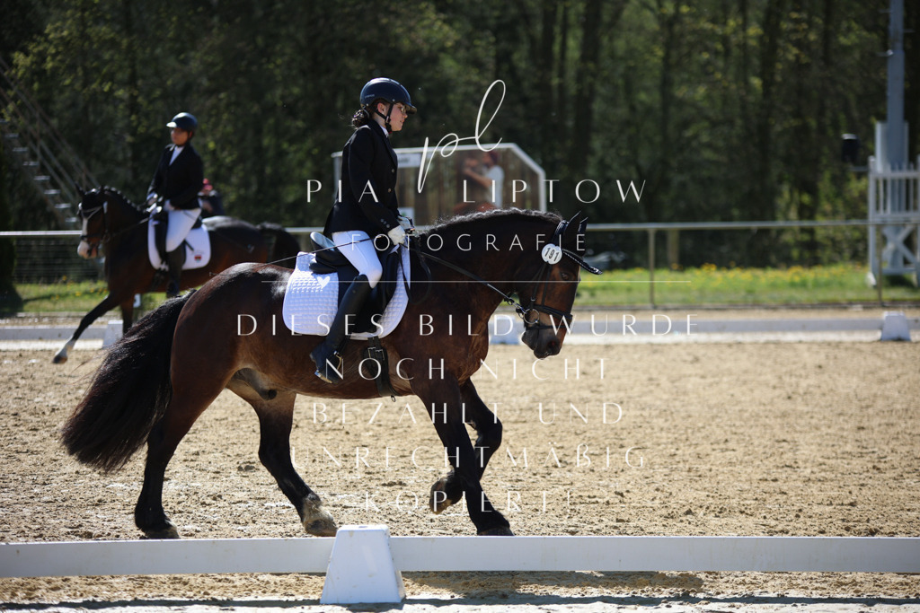 IMGT0381 | pl-fotografie