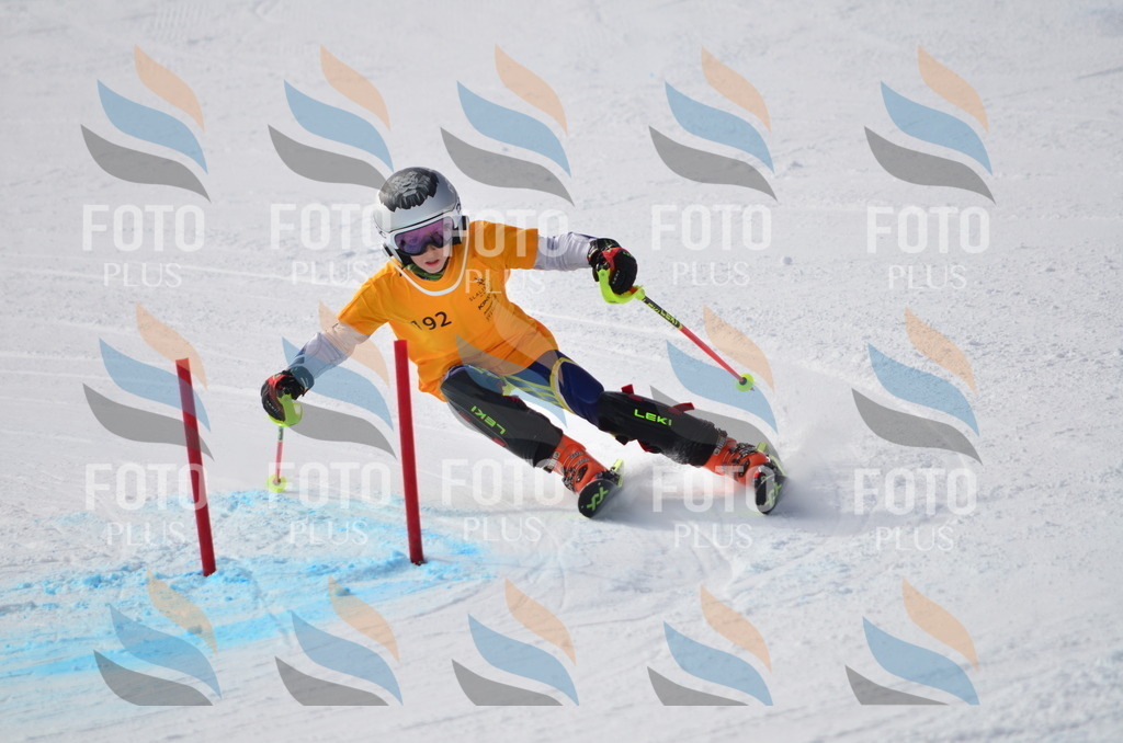 C8066 | holidayphoto