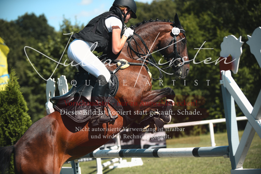 DSC_7214 | Pferde- und Turnierfotografie in Westsachsen. Pferdeportraits, Auftragszeichnungen und intuitive Kunst.