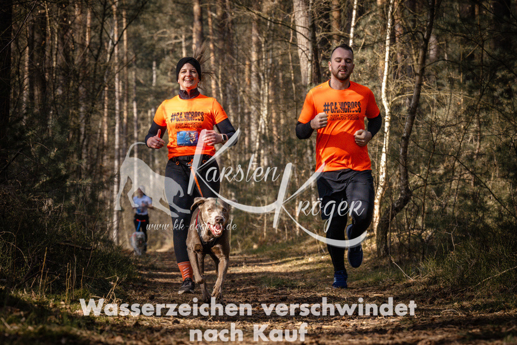 1138_ZZ91499 | kk-dogfotos