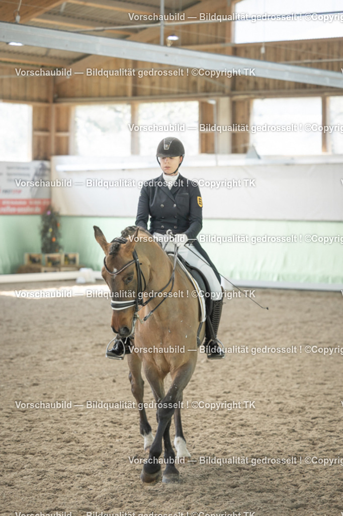 _D5A2307 | Emotionale Pferde- & People-Fotografie rund um Heidelberg, Leimen & Umgebung. Natürliche Fotos von Pferd, Mensch & Familie. Jetzt Termin sichern!