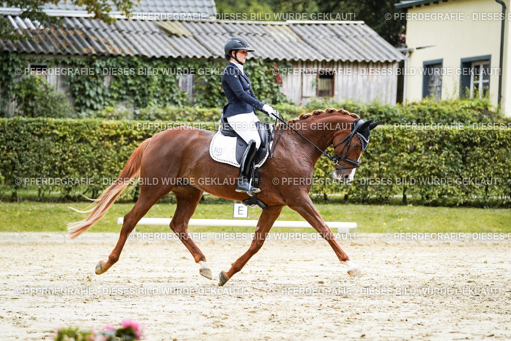 DSC06958 | Pferdegrafie