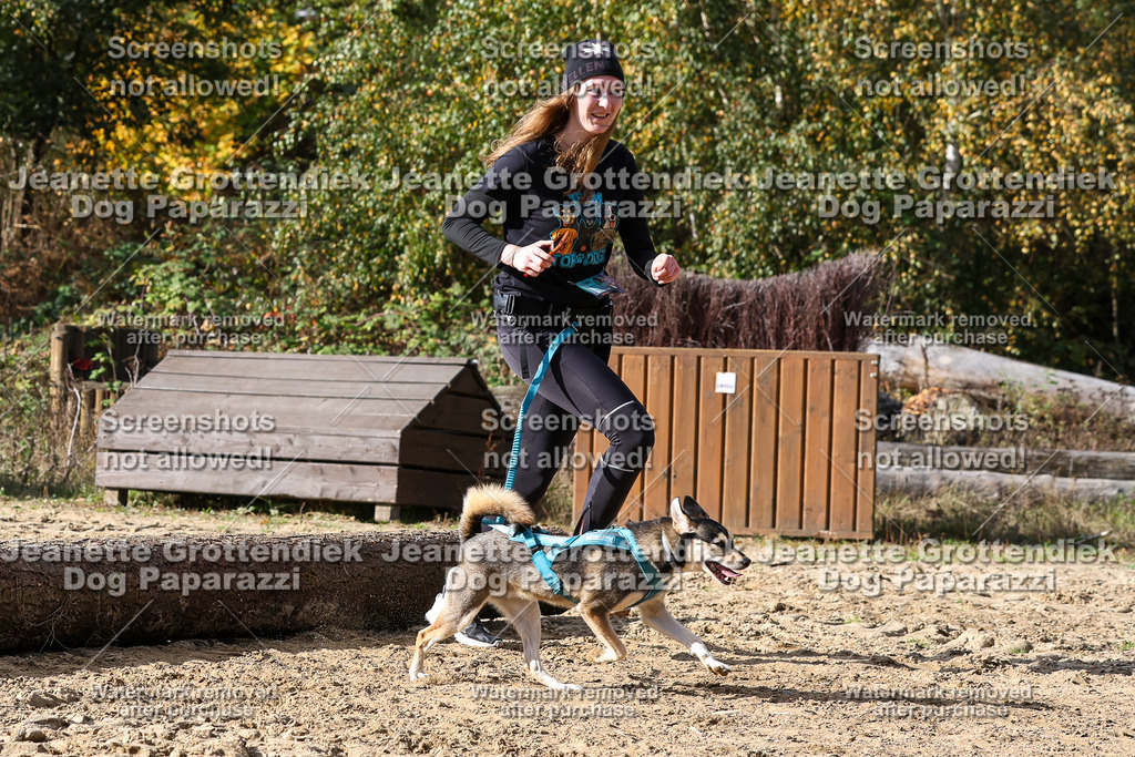 Dog Paparazzi - Strongdog 10-25-5286 | Dog Paparazzi Jeanette Grottendiek Fotografie & Videografie - Realisiert mit Pictrs.com