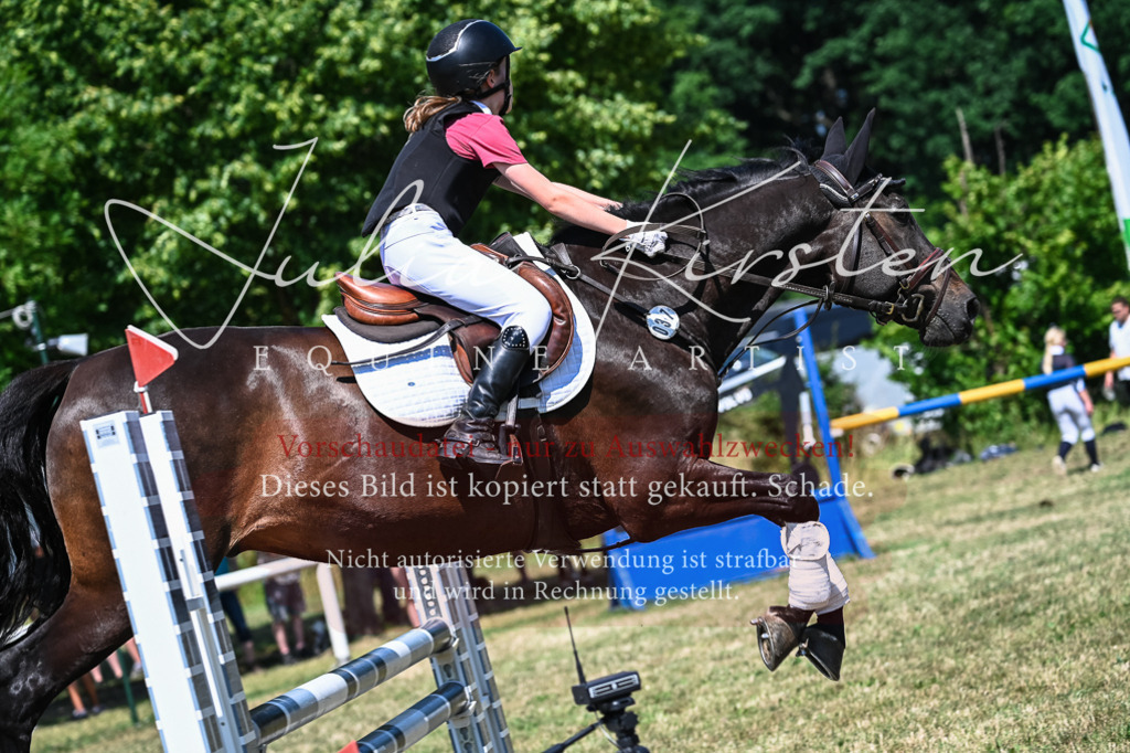 DSC_1154 | Pferde- und Turnierfotografie in Westsachsen. Pferdeportraits, Auftragszeichnungen und intuitive Kunst.