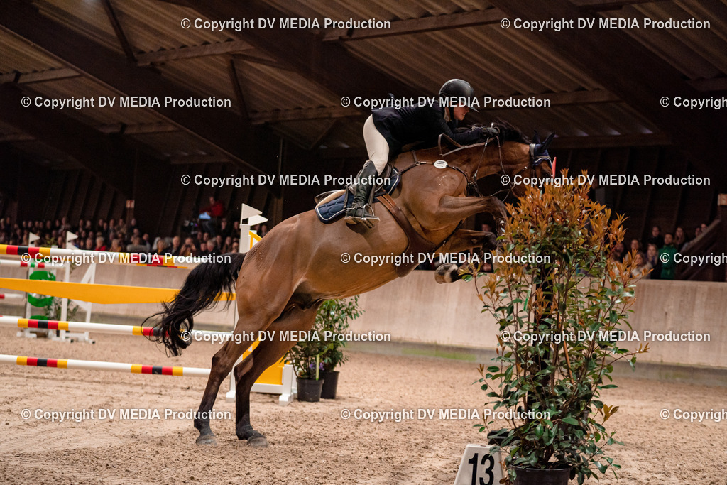 Springen Tag 3-597 | dv-media-shop - Realisiert mit Pictrs.com