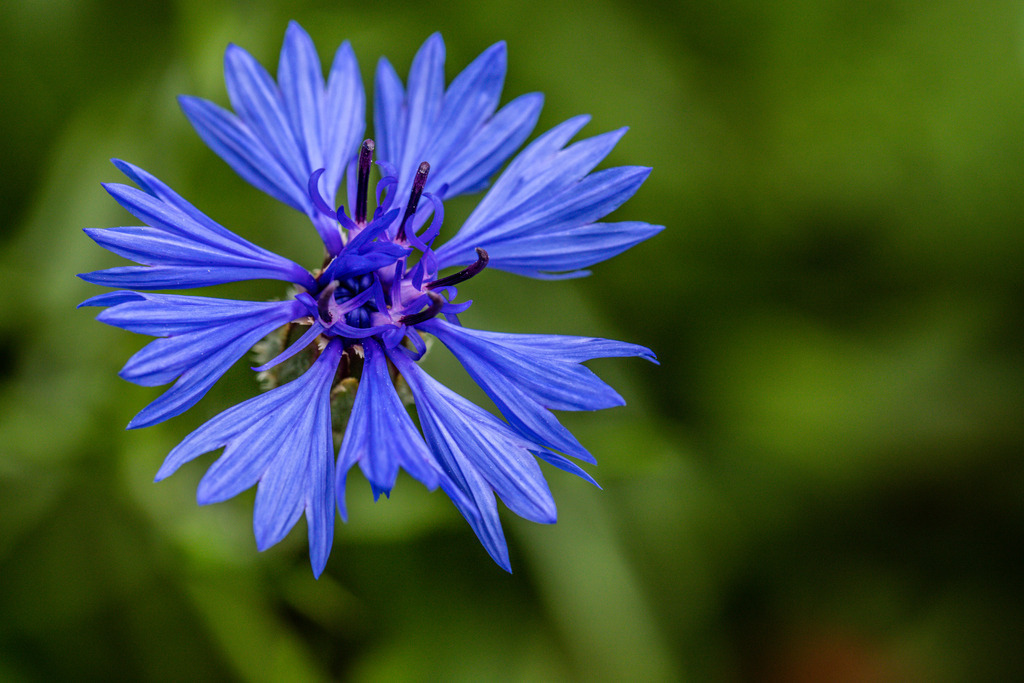 IMG_2585 | ehrlichefotos - Realisiert mit Pictrs.com