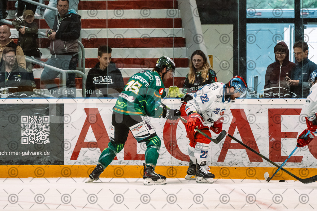 Alligators_vs_Selb_13_09_2026-19 | Die Fotogalerie von Daddel: professionelle Bilder von Sport, Events und Unternehmen aus Franken. Jetzt Galerien durchstöbern und Lieblingsfotos bestellen. - Realisiert mit Pictrs.com
