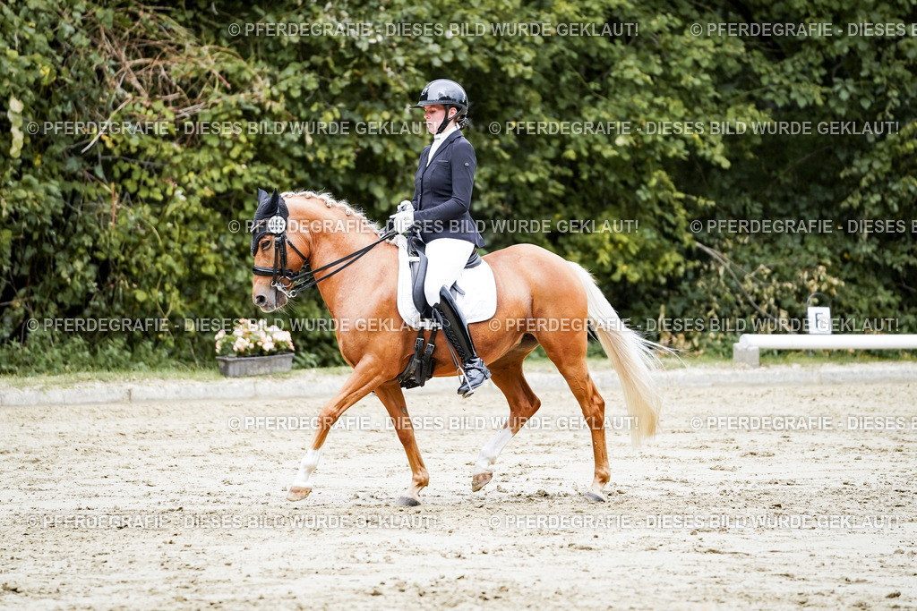 DSC04078 | Pferdegrafie