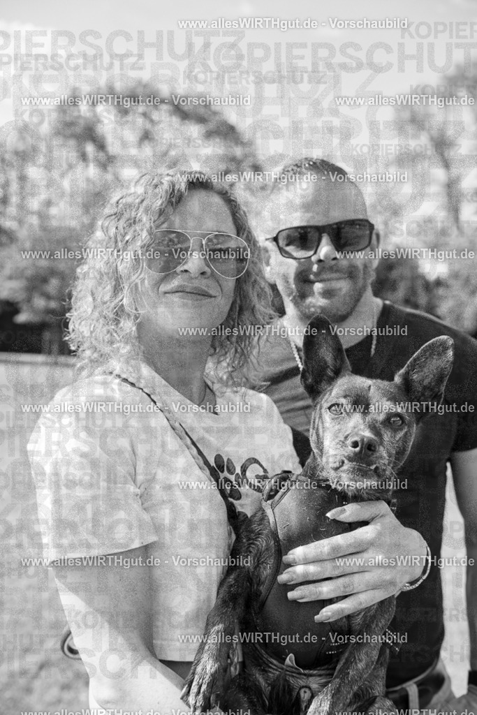 Hundeschwimmen_Volksbad_2026-allesWIRTHgut_Tierfotografie-2609061529-7R501567-2 | Professionelle Tierfotografie in Mönchengladbach von Daniel Wirth (allesWIRTHgut). Liebevolle & natürliche Bilder von Hunden & Katzen für unvergessliche Erinnerungen.