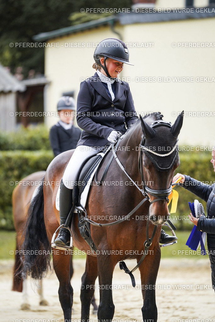 DSC04954 | Pferdegrafie