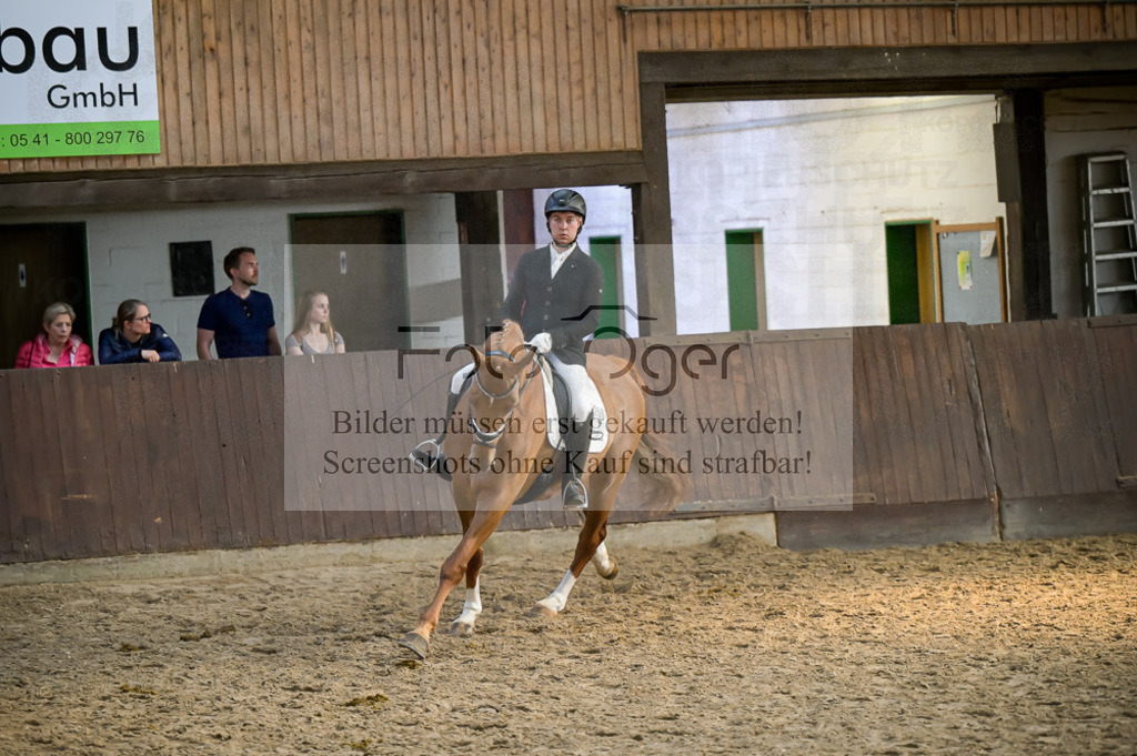 Reitturnier Voxtrup | Entdecke hochwertige Reitturnierfotos von Foto Oger. Professionell, emotional und authentisch – jetzt Lieblingsmomente im Shop bestellen.Deutschlandweite Turnierfotografie. - Realisiert mit Pictrs.com