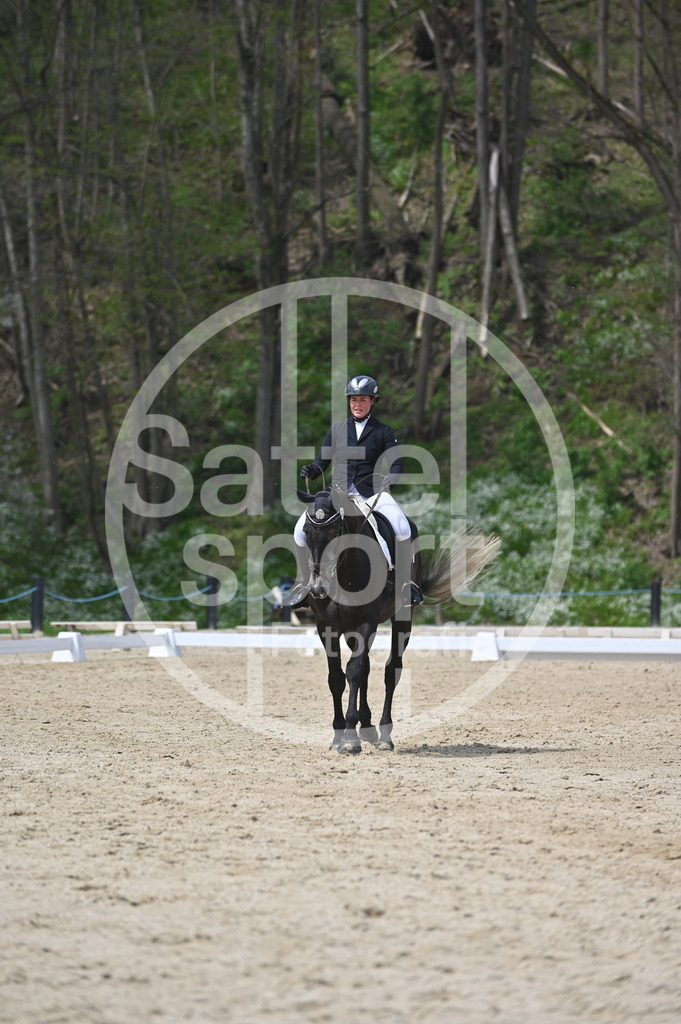 DSC_3062 | sattelsport - Realisiert mit Pictrs.com