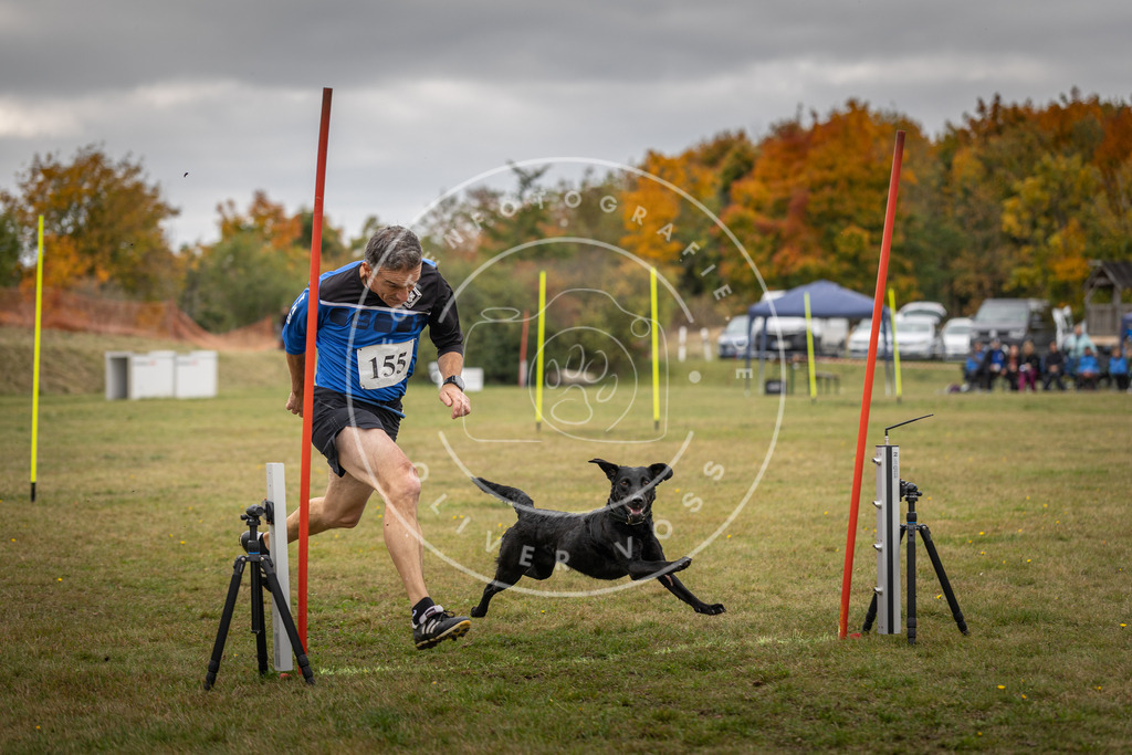 Pfotenfotografie_DV3A6431 | Hundefotografie, Tierfotograf, Pfotenfotografie, Fotoshooting Hund, Hunde Portrait, Hundesport, Hundeportraits, Heideshooting, Hunde, Sportfotograf, Hundefotograf, Turnierhundsport, THS,  - Realisiert mit Pictrs.com