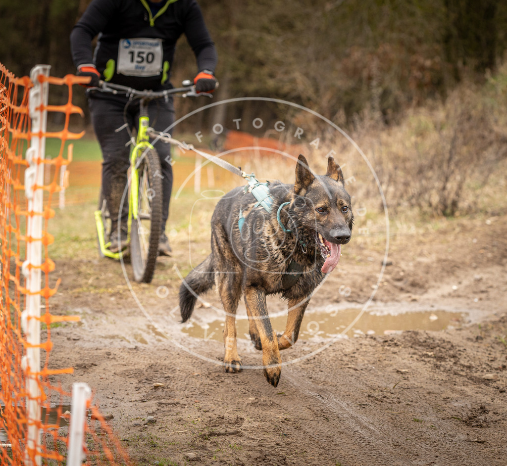 DV3A1626 | Hundefotografie, Tierfotograf, Pfotenfotografie, Fotoshooting Hund, Hunde Portrait, Hundesport, Hundeportraits, Heideshooting, Hunde, Sportfotograf, Hundefotograf, Turnierhundsport, THS,  - Realisiert mit Pictrs.com