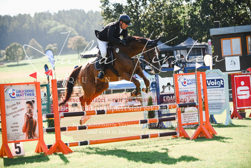 DSC_2483 | Pferde- und Turnierfotografie in Westsachsen. Pferdeportraits, Auftragszeichnungen und intuitive Kunst.