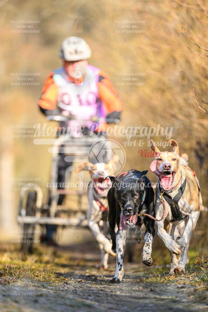 MompixPhotography_Schwabentrail2025_SO_Kart-4 | PayLife