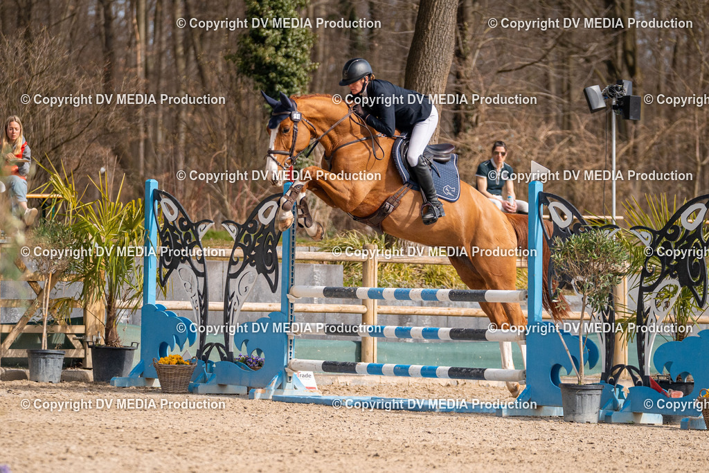 Kranichstein Tag 1-710 | dv-media-shop - Realisiert mit Pictrs.com