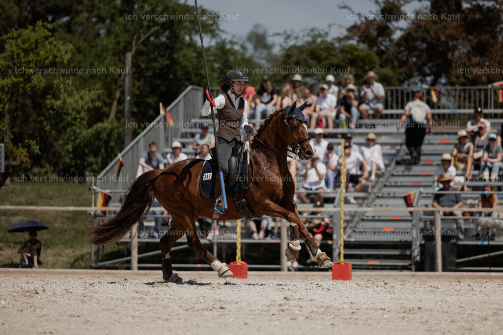 WE_SP_Stoib_342_PI2025_1819 | Pferd International München 2025