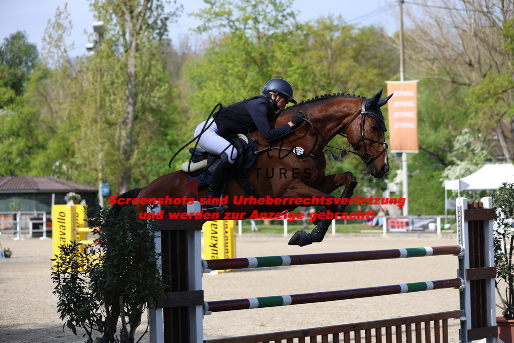 A40A2641 | lmwpictures - Realisiert mit Pictrs.com